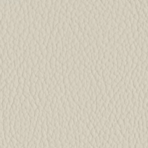 6021-Lino