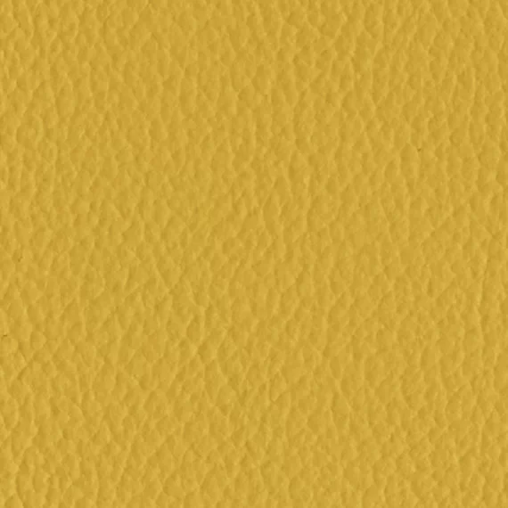 6034-Mango
