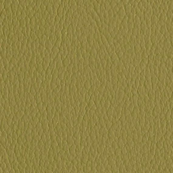 6035-Avocado
