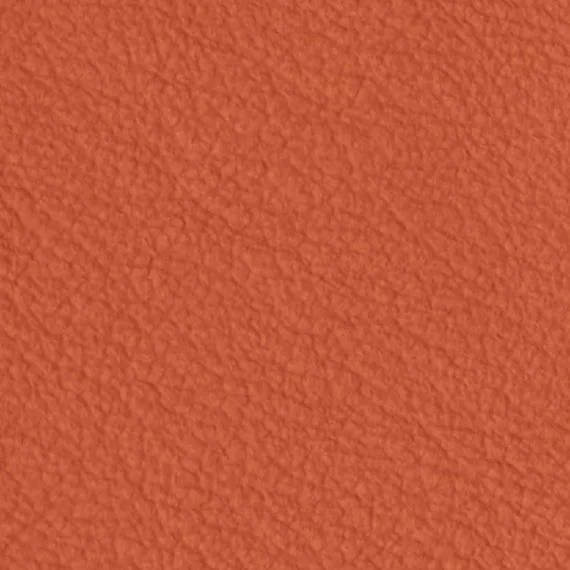 6043-Carota