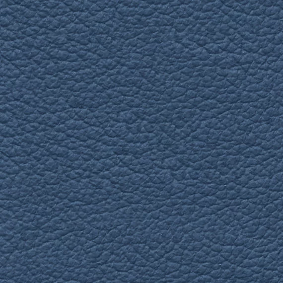 6052-Bluette