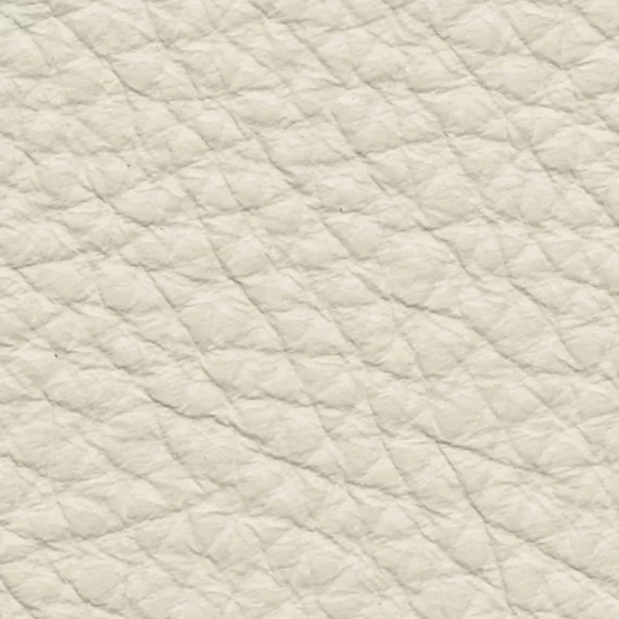 6055-Gesso