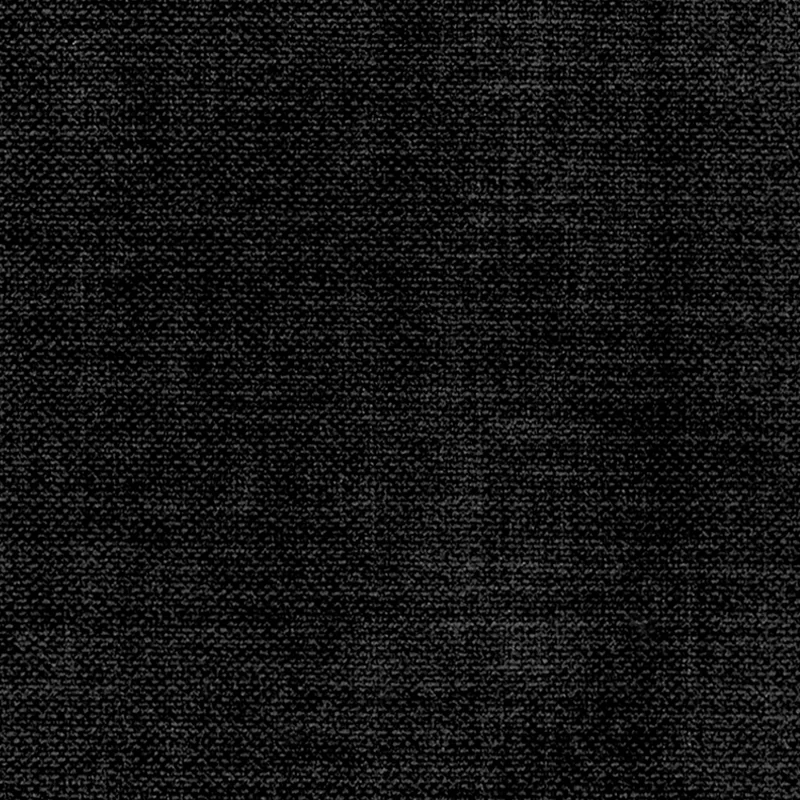 Dignity-4552