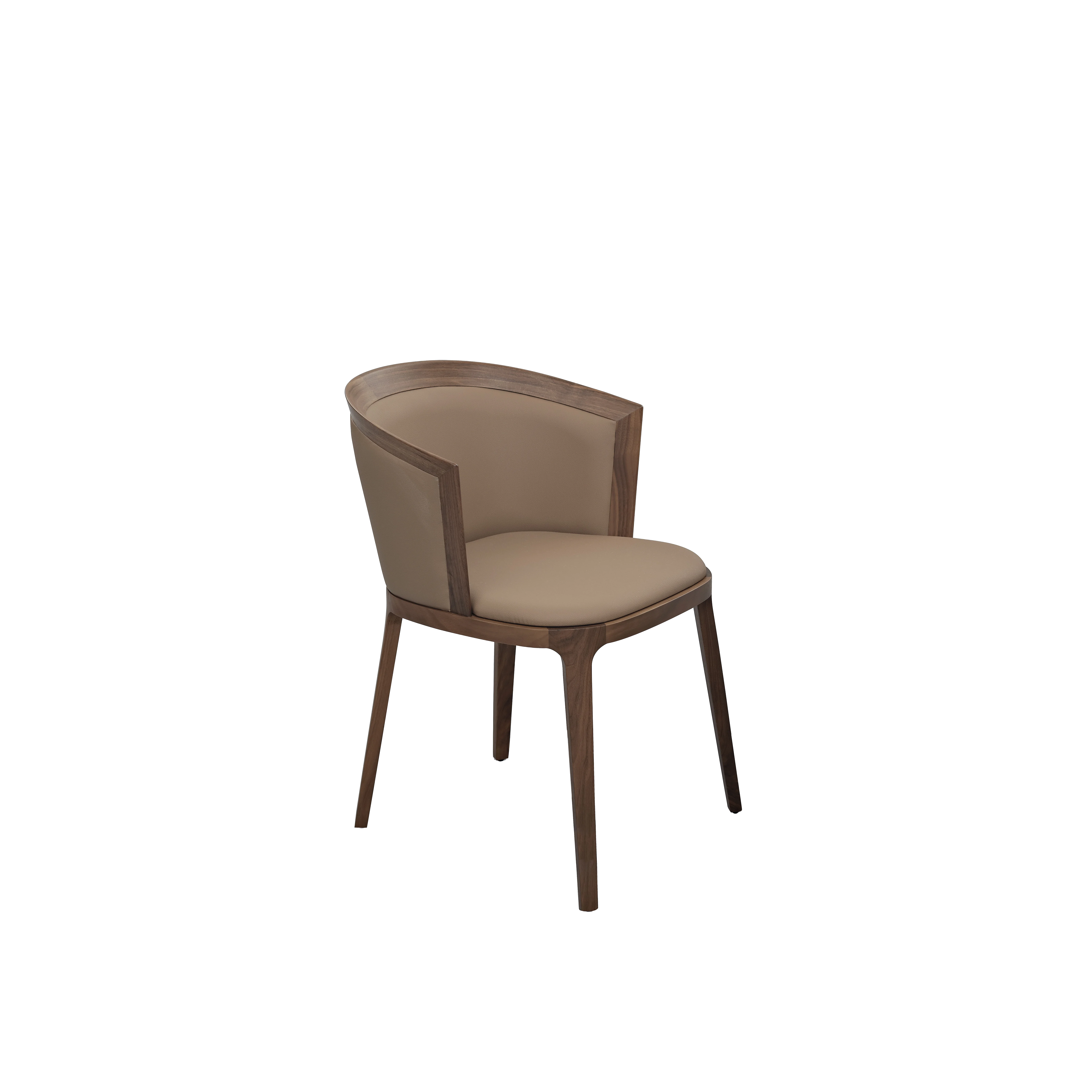 casa-m-lipparini-adria-dinner chair-image