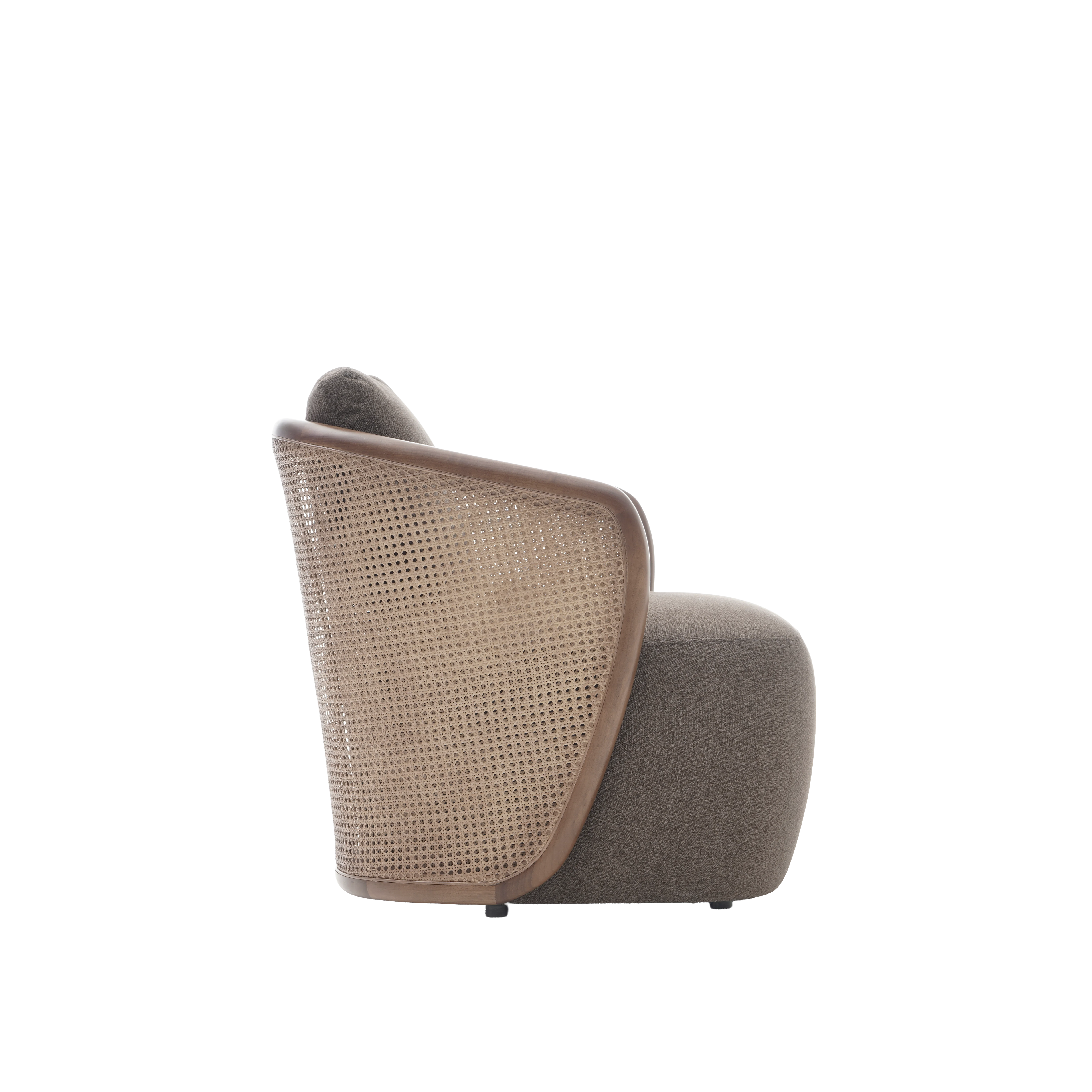 Cassola Armchair, Koltuk